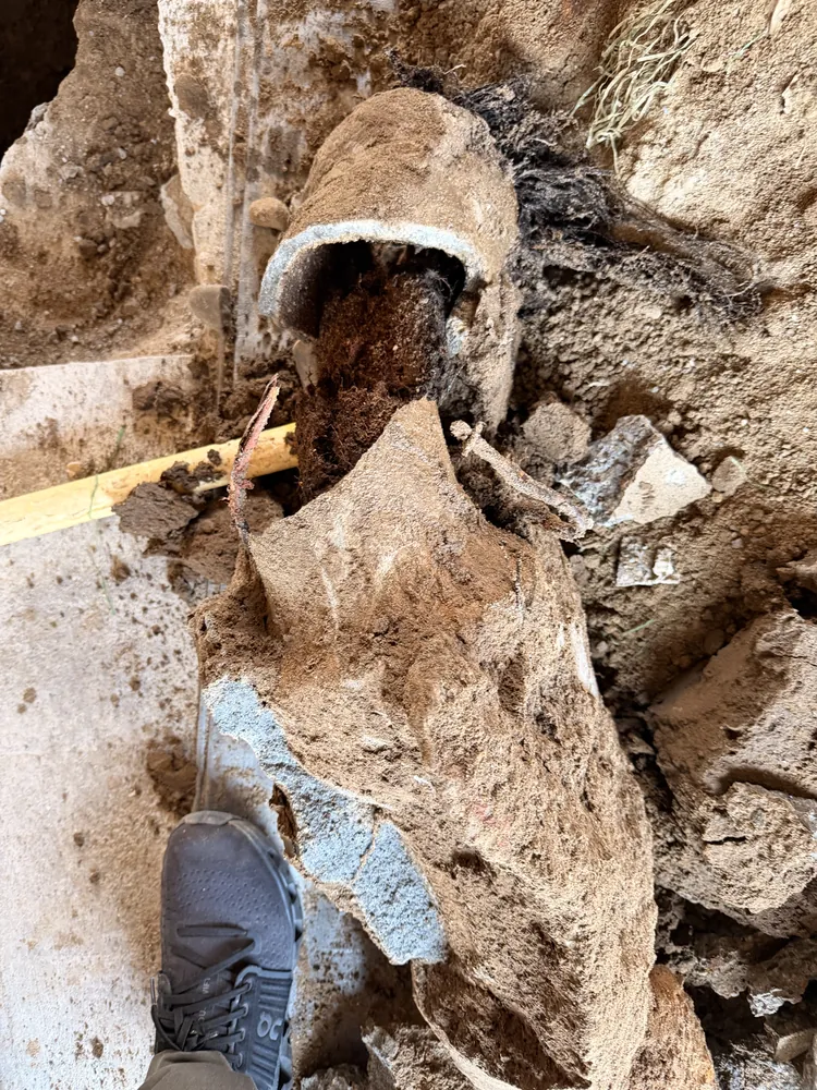 A dug-up broken sewer pipe filled with tree roots